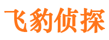 吉隆市侦探公司